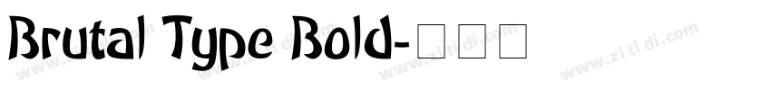 Brutal Type Bold字体转换